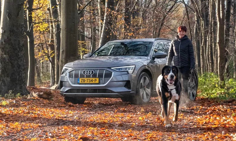 Audi E Tron Grijs Bos Beetsterzwaag Elektrisch Luxe